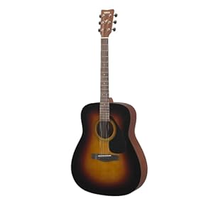 Amazon.co.jp: スチール弦アコースティックギター: 楽器・音響機器